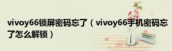 vivoy66锁屏密码忘了（vivoy66手机密码忘了怎么解锁）