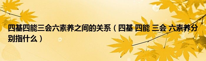 四基四能三会六素养之间的关系（四基 四能 三会 六素养分别指什么）