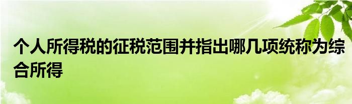 个人所得税的征税范围并指出哪几项统称为综合所得