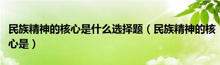 民族精神的核心是什么选择题（民族精神的核心是）