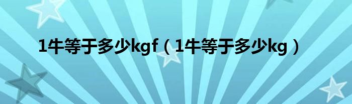 1牛等于多少kgf（1牛等于多少kg）