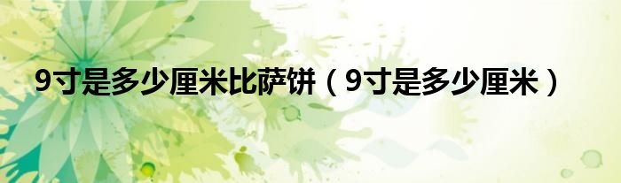 9寸是多少厘米比萨饼（9寸是多少厘米）