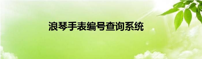 浪琴手表编号查询系统