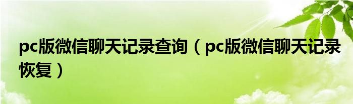 pc版微信聊天记录查询（pc版微信聊天记录恢复）