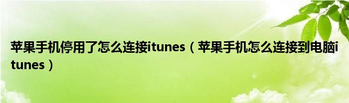 苹果手机停用了怎么连接itunes（苹果手机怎么连接到电脑itunes）