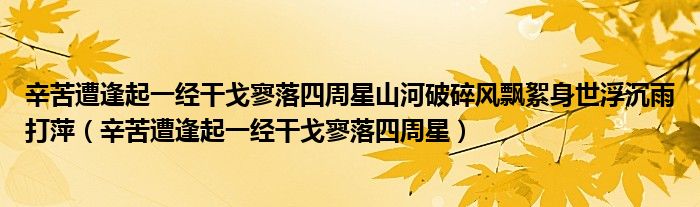 辛苦遭逢起一经干戈寥落四周星山河破碎风飘絮身世浮沉雨打萍（辛苦遭逢起一经干戈寥落四周星）