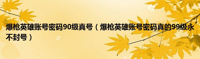 爆枪英雄账号密码90级真号（爆枪英雄账号密码真的99级永不封号）