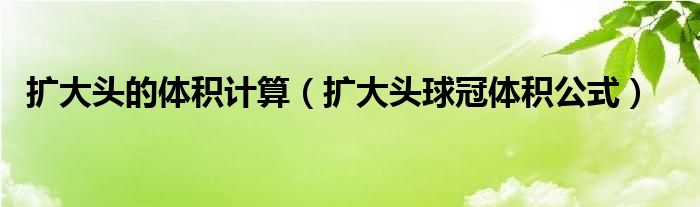 扩大头的体积计算（扩大头球冠体积公式）