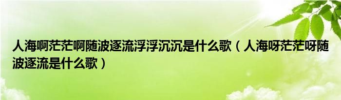 人海啊茫茫啊随波逐流浮浮沉沉是什么歌（人海呀茫茫呀随波逐流是什么歌）