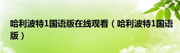 哈利波特1国语版在线观看（哈利波特1国语版）