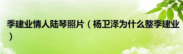 季建业情人陆琴照片（杨卫泽为什么整季建业）