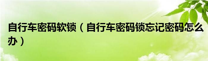 自行车密码软锁（自行车密码锁忘记密码怎么办）