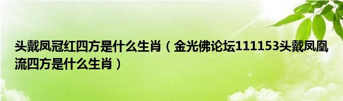 头戴凤冠红四方是什么生肖（金光佛论坛111153头戴凤凰流四方是什么生肖）