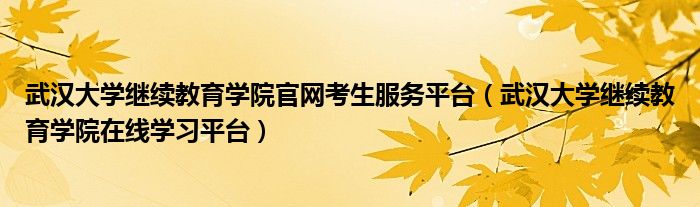 武汉大学继续教育学院官网考生服务平台（武汉大学继续教育学院在线学习平台）