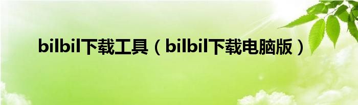 bilbil下载工具（bilbil下载电脑版）