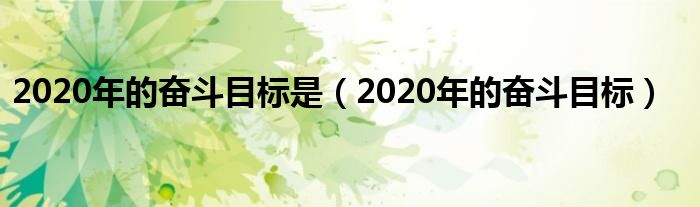 2020年的奋斗目标是（2020年的奋斗目标）