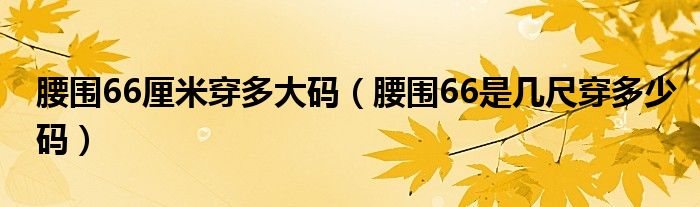 腰围66厘米穿多大码（腰围66是几尺穿多少码）