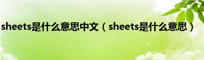 sheets是什么意思中文（sheets是什么意思）