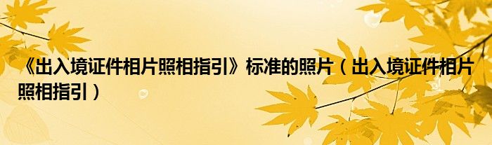 《出入境证件相片照相指引》标准的照片（出入境证件相片照相指引）