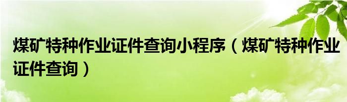 煤矿特种作业证件查询小程序（煤矿特种作业证件查询）