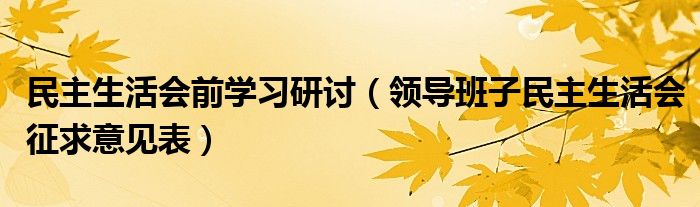 民主生活会前学习研讨（领导班子民主生活会征求意见表）