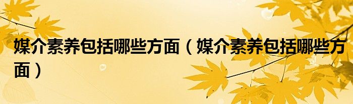 媒介素养包括哪些方面（媒介素养包括哪些方面）