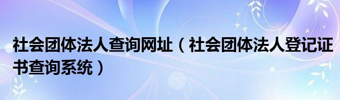 社会团体法人查询网址（社会团体法人登记证书查询系统）