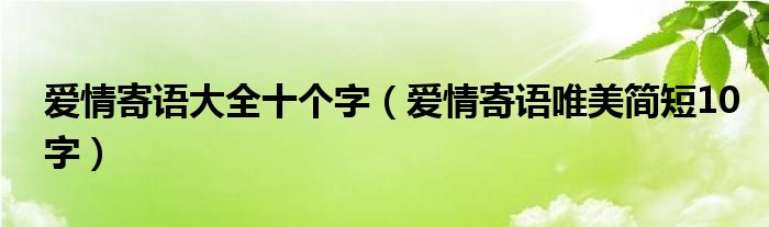 爱情寄语大全十个字（爱情寄语唯美简短10字）