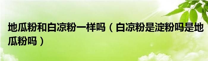 地瓜粉和白凉粉一样吗（白凉粉是淀粉吗是地瓜粉吗）