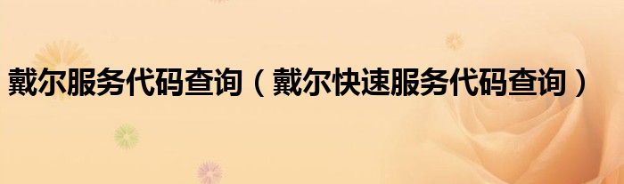 戴尔服务代码查询（戴尔快速服务代码查询）