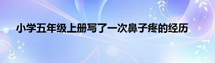 小学五年级上册写了一次鼻子疼的经历