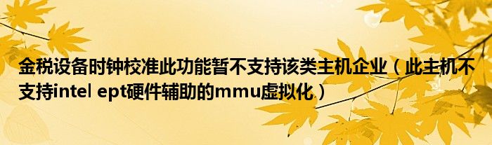 金税设备时钟校准此功能暂不支持该类主机企业（此主机不支持intel ept硬件辅助的mmu虚拟化）