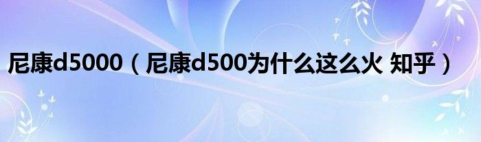 尼康d5000（尼康d500为什么这么火 知乎）