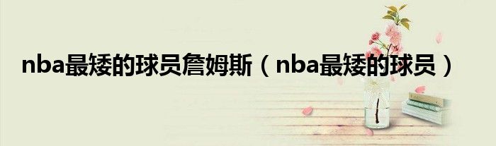 nba最矮的球员詹姆斯（nba最矮的球员）