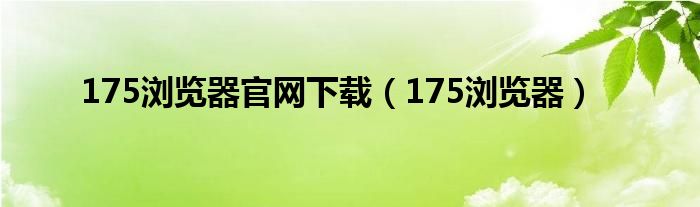 175浏览器官网下载（175浏览器）