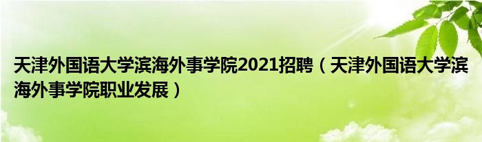 天津外国语大学滨海外事学院2021招聘（天津外国语大学滨海外事学院职业发展）