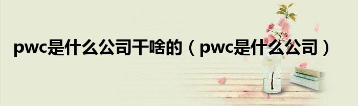 pwc是什么公司干啥的（pwc是什么公司）