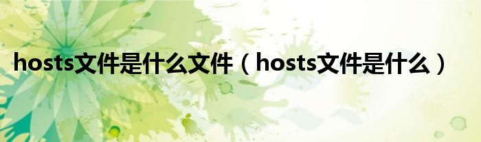 hosts文件是什么文件（hosts文件是什么）