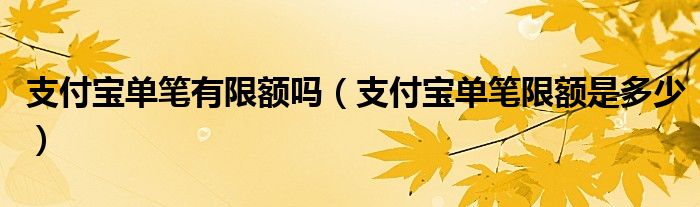 支付宝单笔有限额吗（支付宝单笔限额是多少）