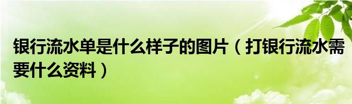 银行流水单是什么样子的图片（打银行流水需要什么资料）