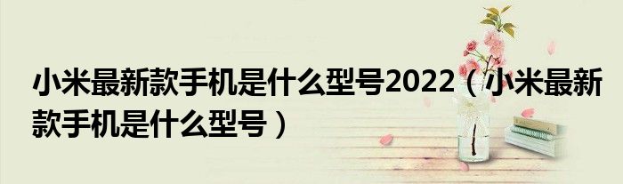 小米最新款手机是什么型号2022（小米最新款手机是什么型号）