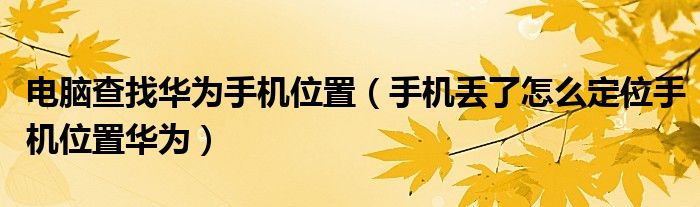 电脑查找华为手机位置（手机丢了怎么定位手机位置华为）