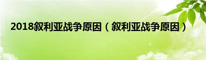 2018叙利亚战争原因（叙利亚战争原因）