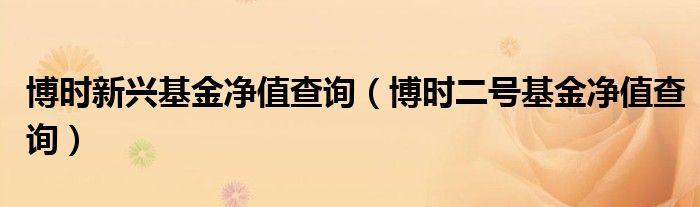 博时新兴基金净值查询（博时二号基金净值查询）