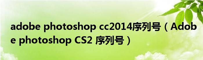 adobe photoshop cc2014序列号（Adobe photoshop CS2 序列号）