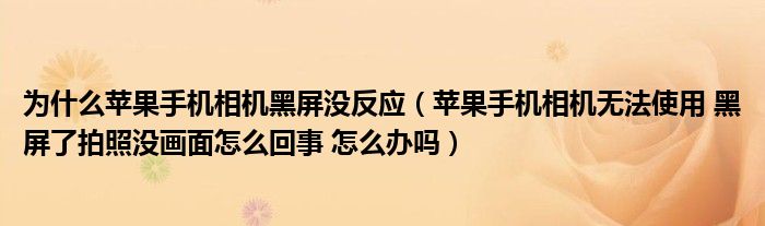 为什么苹果手机相机黑屏没反应（苹果手机相机无法使用 黑屏了拍照没画面怎么回事 怎么办吗）