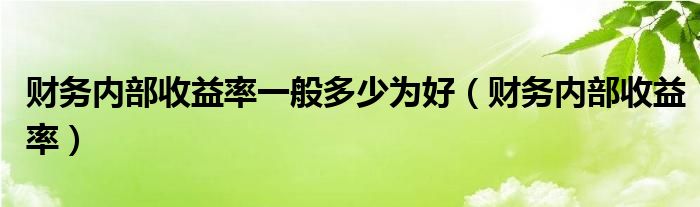 财务内部收益率一般多少为好（财务内部收益率）