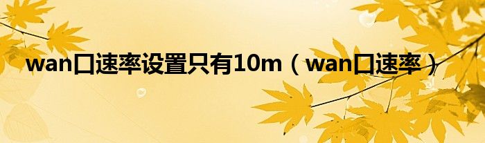 wan口速率设置只有10m（wan口速率）