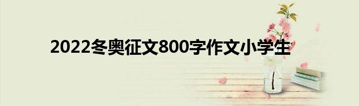 2022冬奥征文800字作文小学生