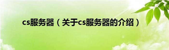 cs服务器（关于cs服务器的介绍）